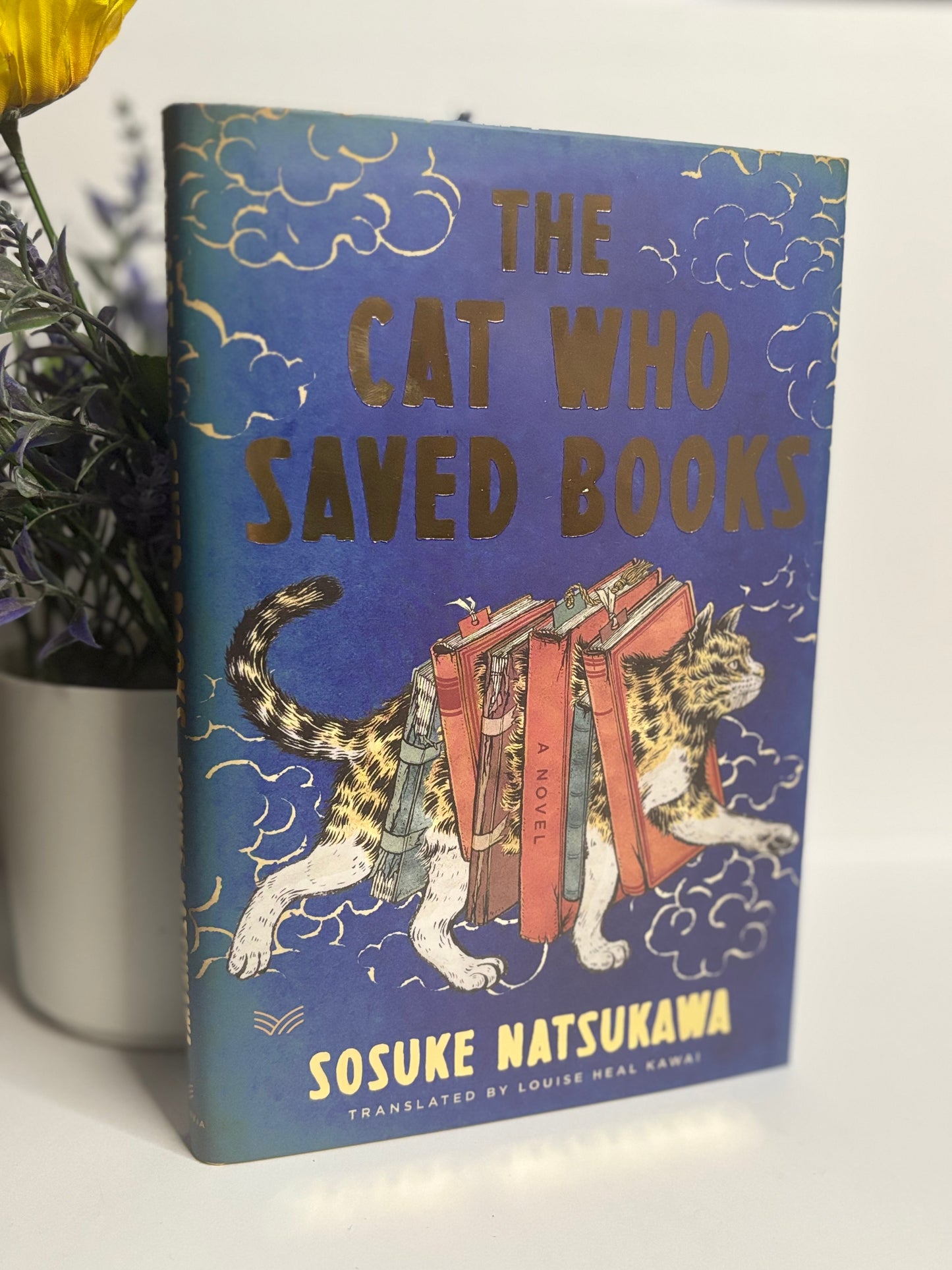 The Cat Who Saved Books - Sosuke Natsukawa