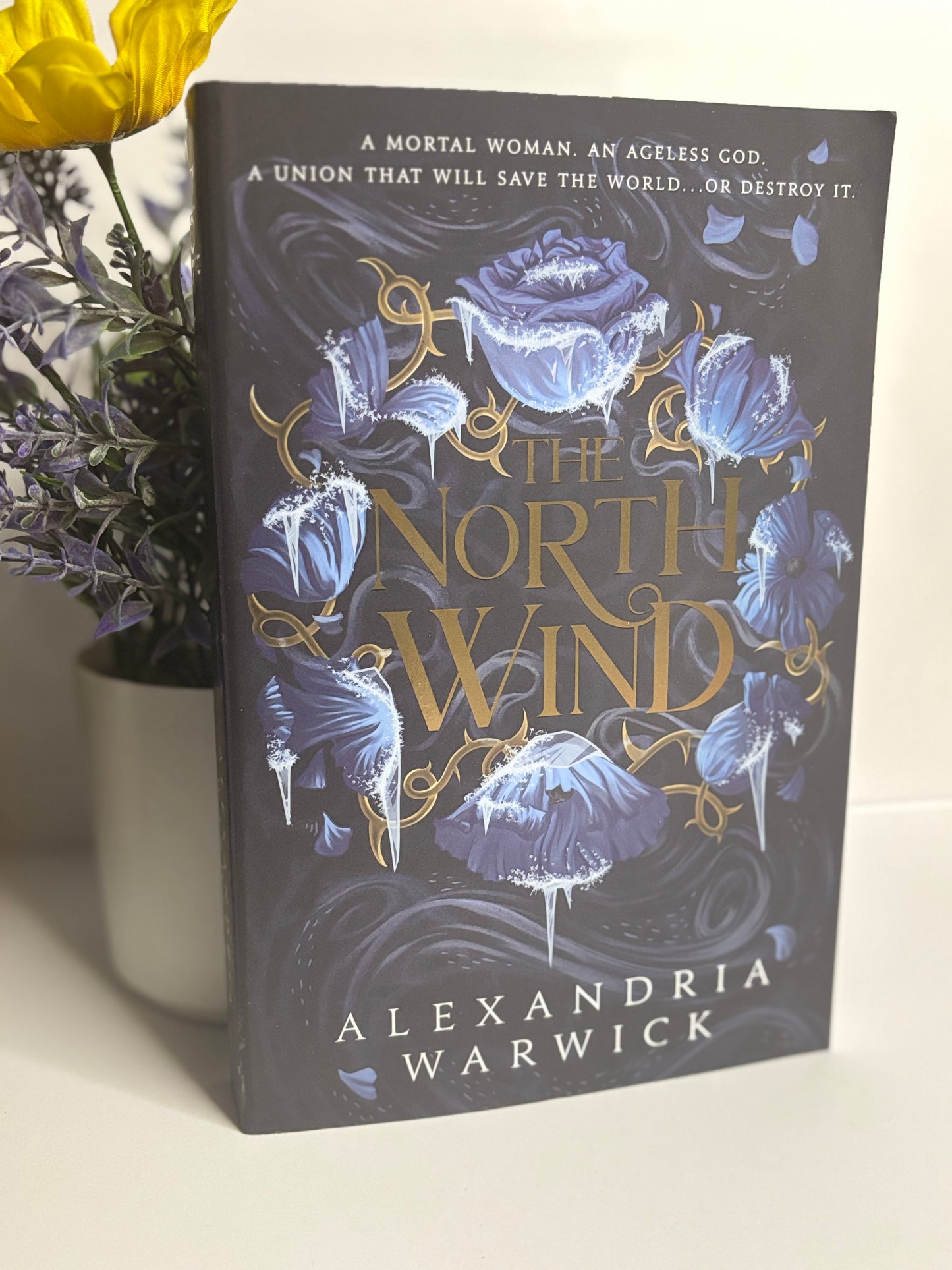 The North Wind - Alexandria Warwick